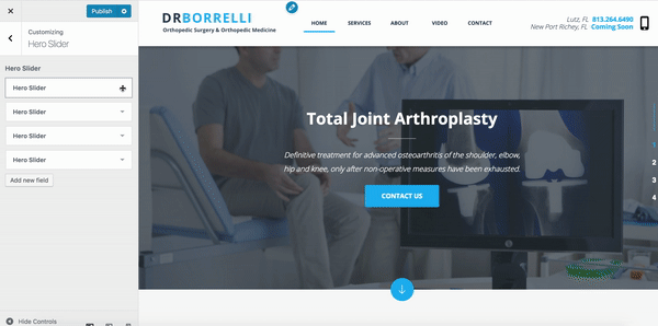 Dr.Borrelli WordPress Customizer